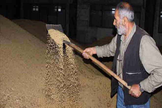 2 milyon tonluk soya ithalatına bakanlık el attı