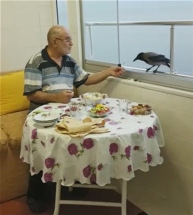 /resimler/2018-5/24/1406343766482.jpg /resimler/2018-5/24/1406343766482.jpg