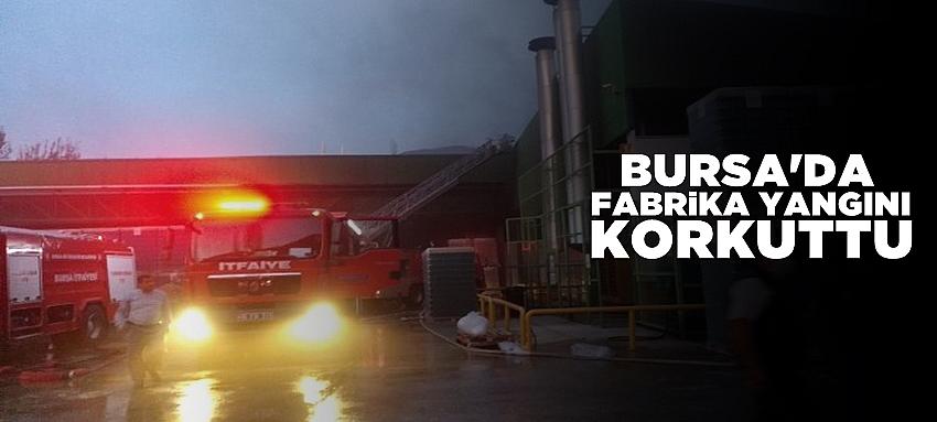 Bursa`da korkutan fabrika yangını