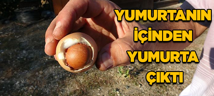Bursa`da yumurtanın içinden yumurta çıktı