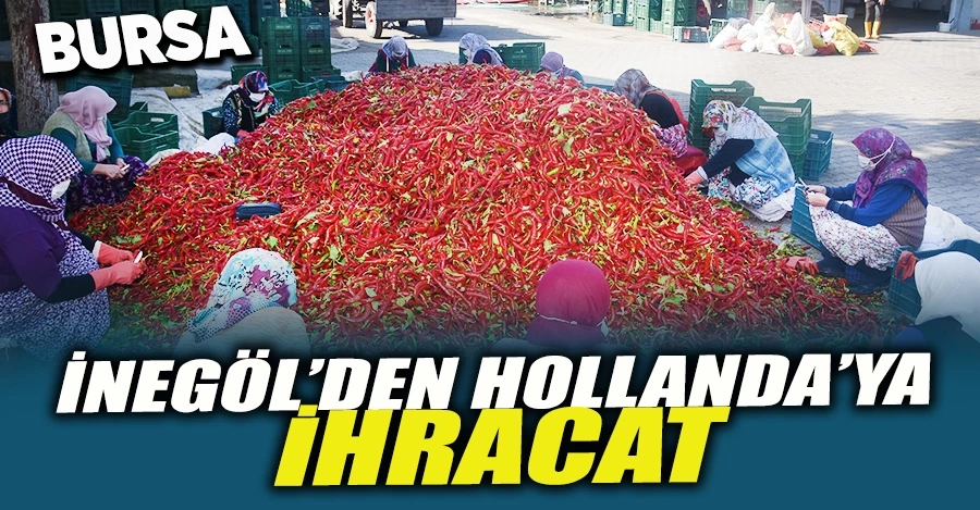 İnegöl