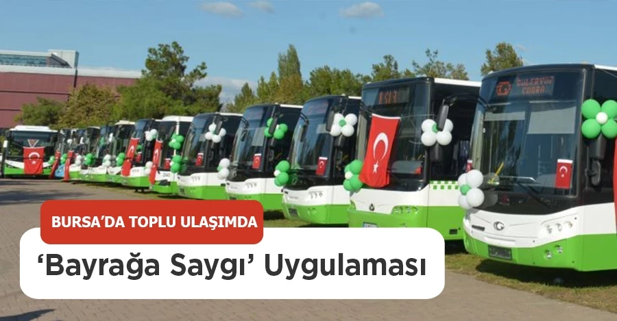 Bursa