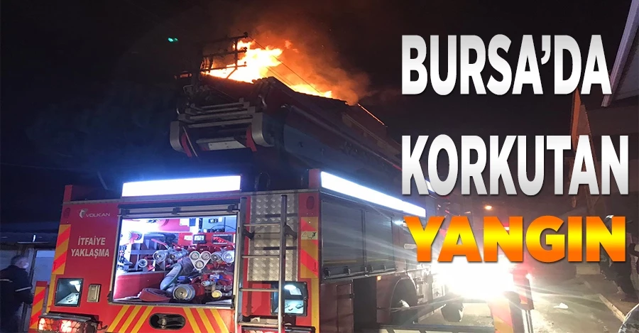 Bursa
