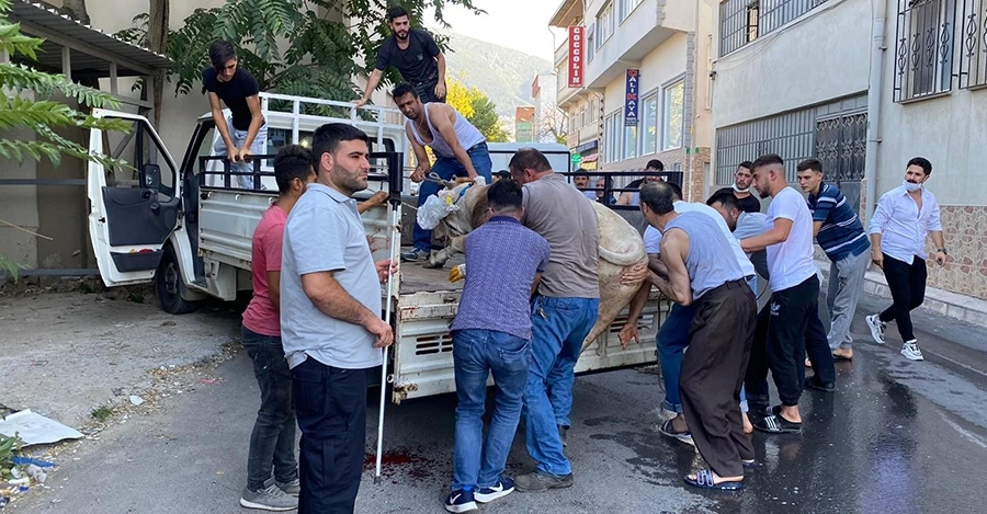 Boğa önde vatandaşlar arkada   