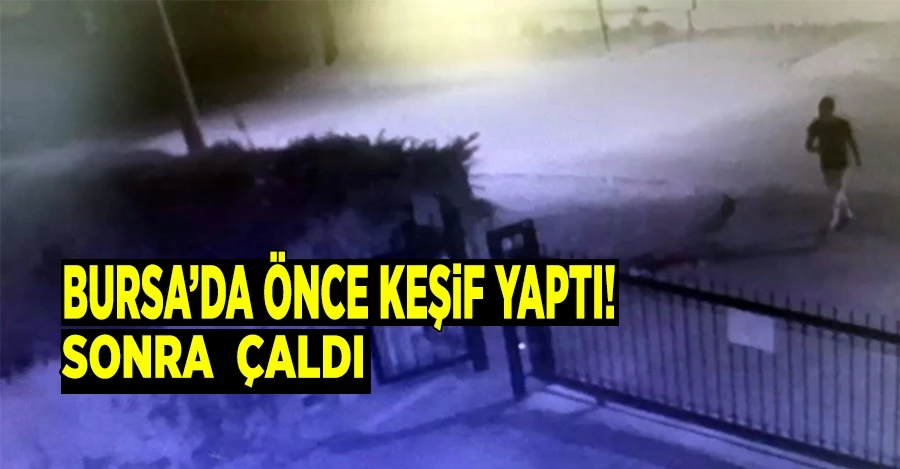 Bursa