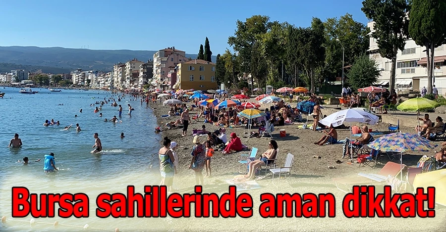 Bursa sahillerinde aman dikkat!