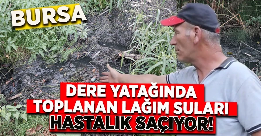 DERE YATAĞINDA TOPLANAN LAĞIM SULARI HASTALIK SAÇIYOR!