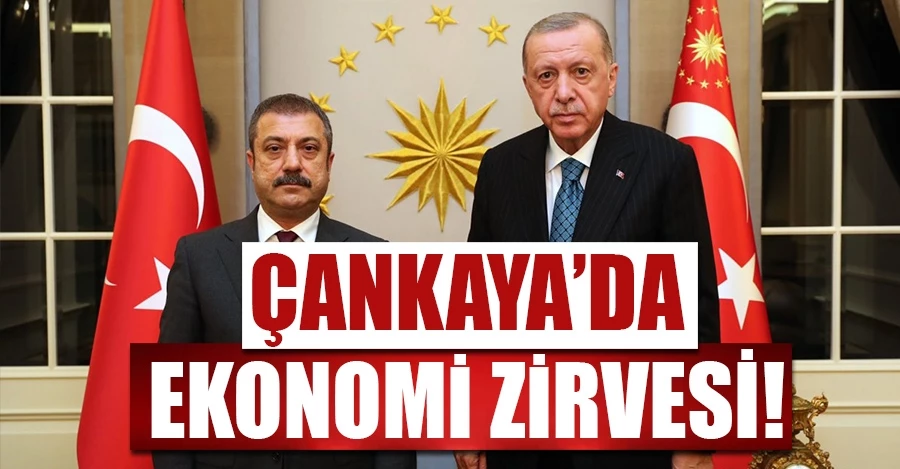 Cumhurbaşkanı Erdoğan, Şahap Kavcıoğlu