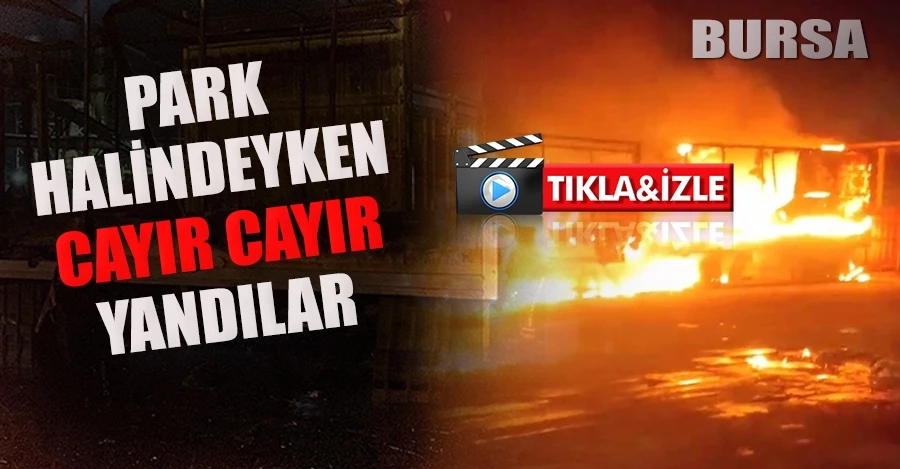 Park halindeyken cayır cayır yandılar 