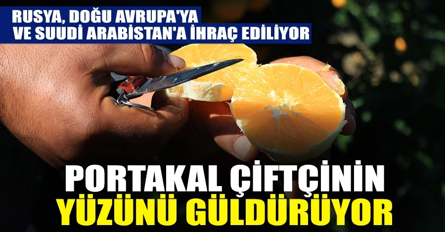  Portakal, çiftçinin yüzünü güldürüyor 