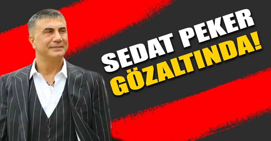 Sedat Peker gözaltına alındı