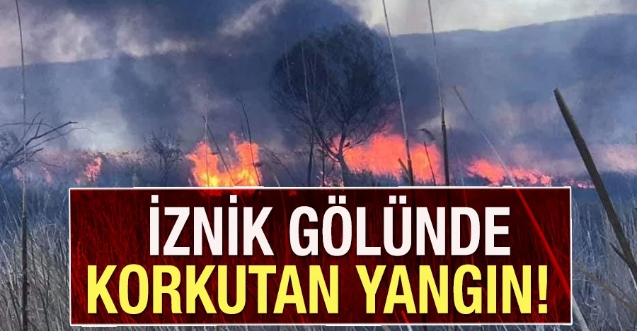 İznik Gölünde korkutan yangın: 60 dönüm arazi kül oldu   