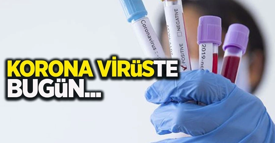 Günlük koronavirüs tablosu açıklandı!