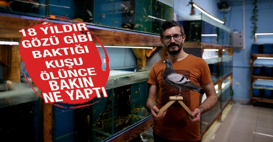 Bursa’da 18 yıldır gözü gibi baktığı kuşu ölünce bakın ne yaptı   