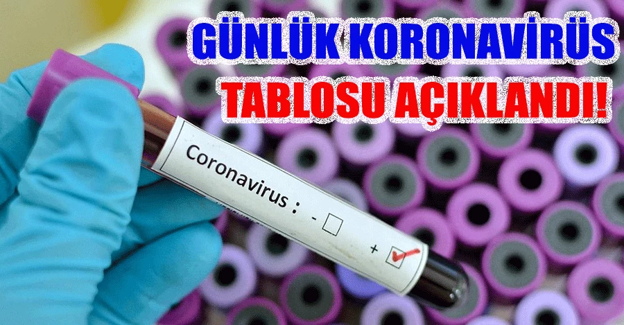 Günlük koronavirüs tablosu açıklandı
