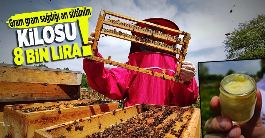 Gram gram sağdığı arı sütünün kilosunu 8 bin liradan satıyor  