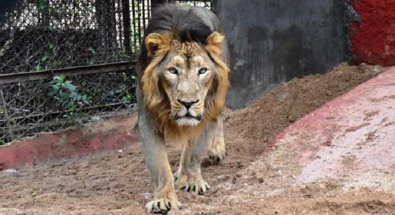 Hindistan