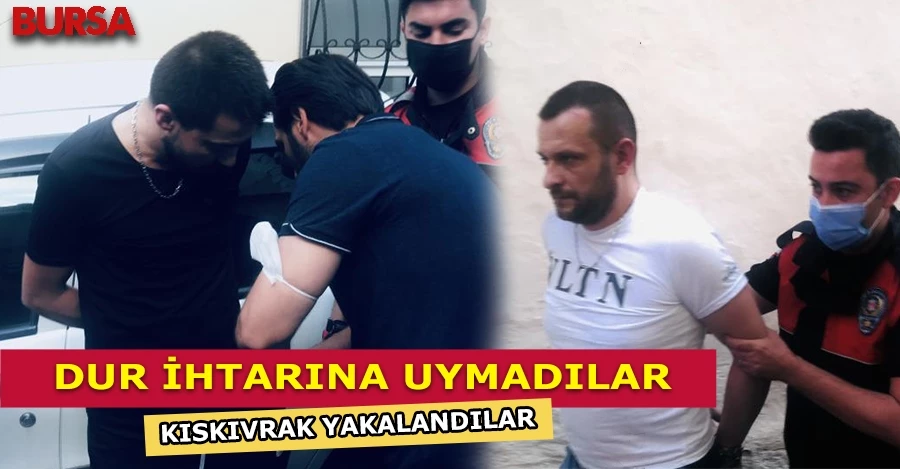 Bursa