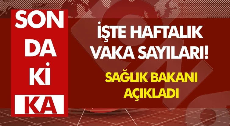 Bursa