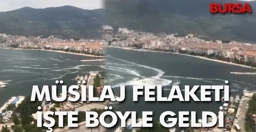 Gemlik körfezindeki müsilaj istilası vatandaş kamerasında