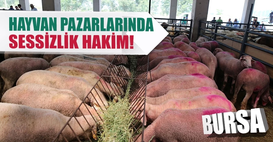 Bursa’da hayvan pazarlarında beklenen hareketlilik yaşanmadı   