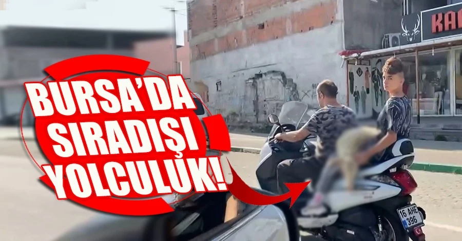 Bursa