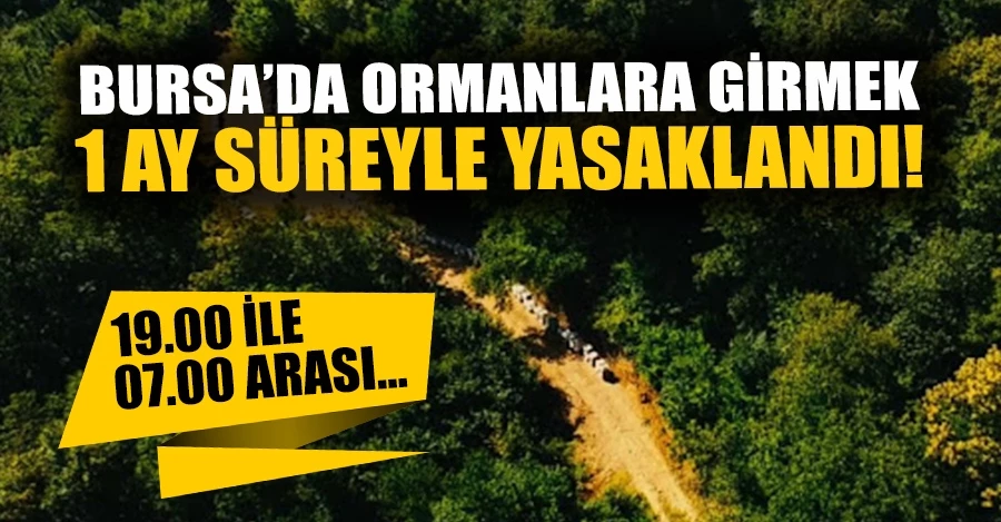 Bursa ve ilçelerinde ormanlara girmek 1 ay süreyle yasaklandı