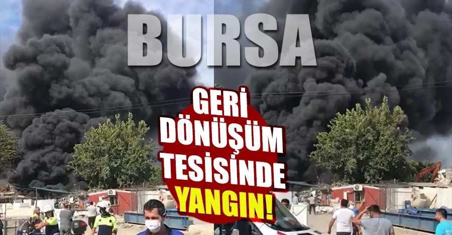 Bursa