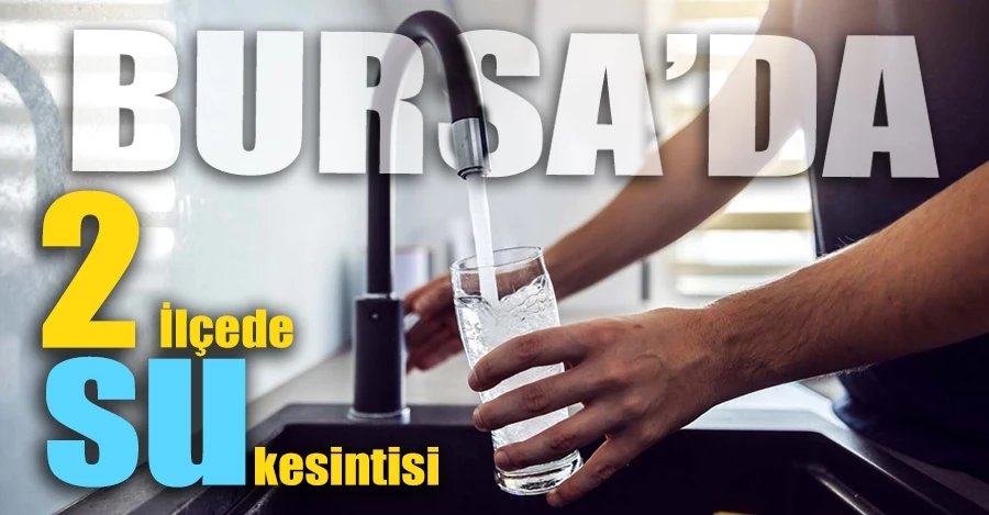Bursa