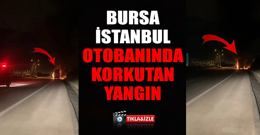 Bursa-İstanbul otobanında korkutan yangın   