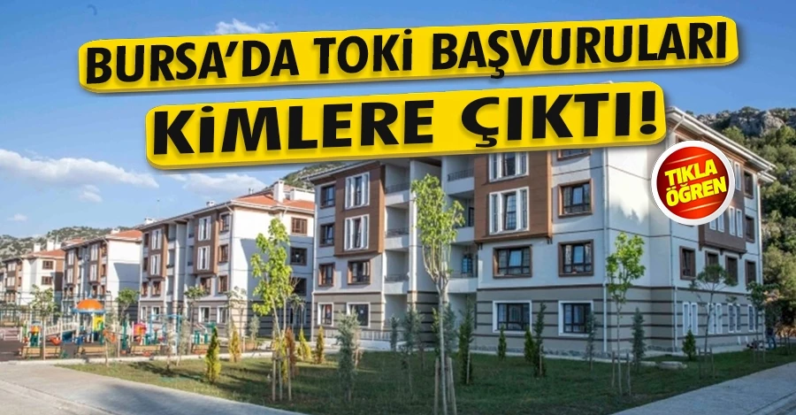 Bursa