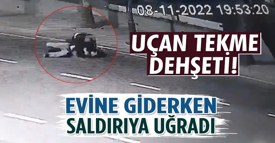 İstanbul’da uçan tekme dehşeti kamerada: Evine giderken saldırıya uğradı   