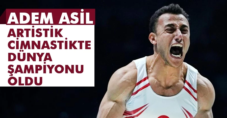 Adem Asil, dünya şampiyonu oldu