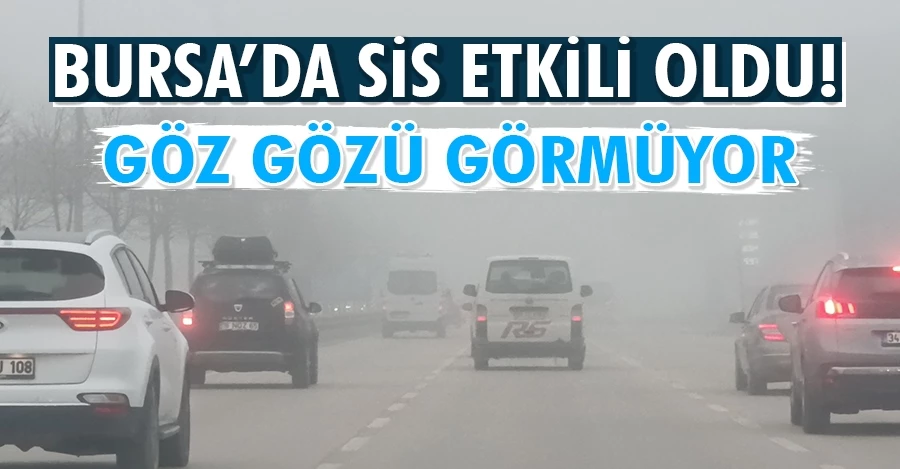 Bursa’da sis etkili oldu   
