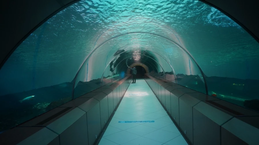 Yıldırım’daki tünel akvaryuma 2022’de 250 bin ziyaretçi