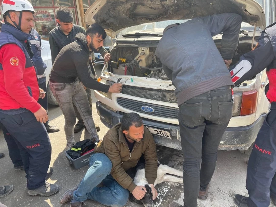 Aracın çarptığı köpeğin ayakları motora sıkıştı   