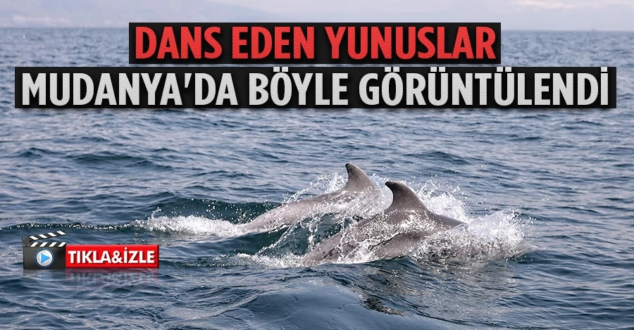 Dans eden yunuslar Mudanya