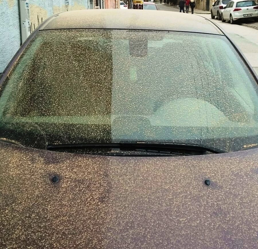  Aydın’da toz taşınımı bekleniyor   