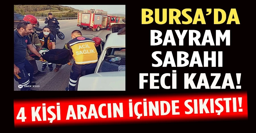 Bursa