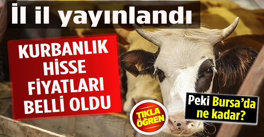 İl il yayınlandı! Kurbanlık hisse fiyatları belli oldu