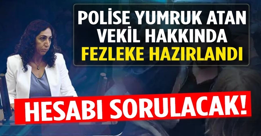 Polise yumruk atan HDP