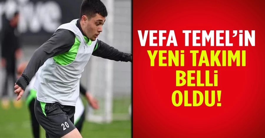 Vefa Temel