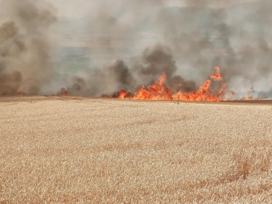 Tekirdağ’da 300 dönüm buğday tarlası alev alev yandı   