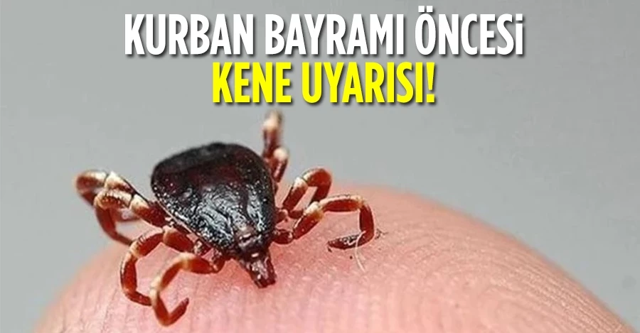 Kurban Bayramı öncesi kene uyarısı 