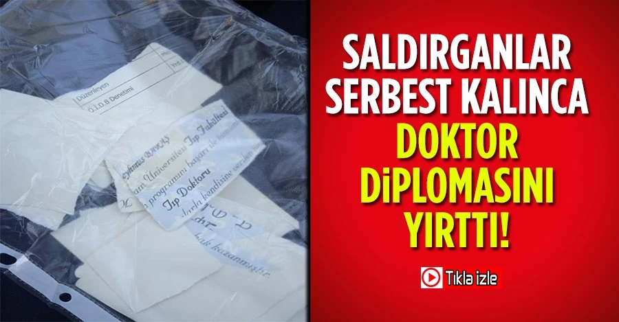 Saldırganlar serbest kalınca doktor diplomasını yırttı