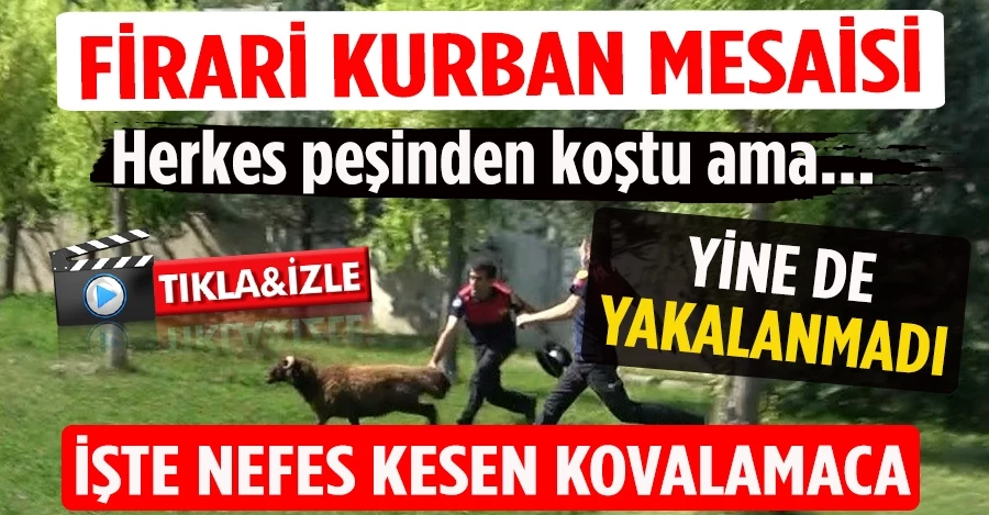 Firari kurban mesaisi! Herkes peşinden koştu ama yine de yakalanmadı. İşte nefes kesen kovalamaca