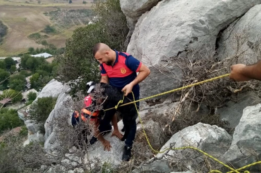 Kayalıklarda mahsur kalan keçi yavrusu kurtarıldı