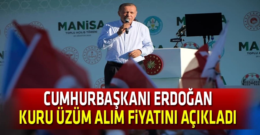 Cumhurbaşkanı Erdoğan kuru üzüm alım fiyatını açıkladı