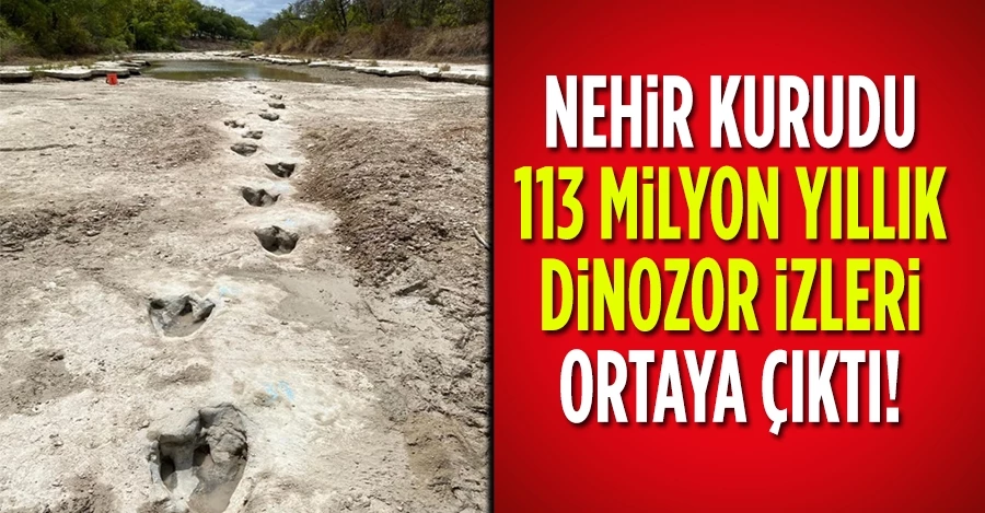 Nehir kurudu 113 milyon yıllık dinozor izleri ortaya çıktı