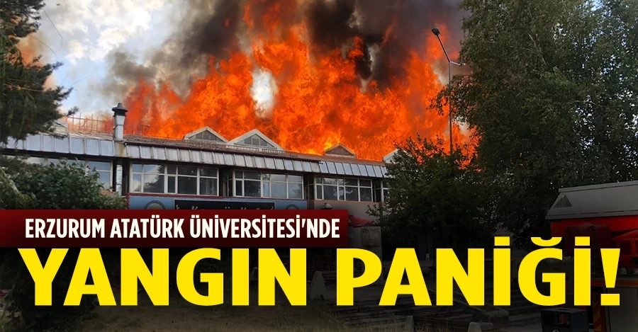Erzurum Atatürk Üniversitesi
